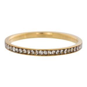 iXXXi Jewelry Zirconia Cristal goud 2mm