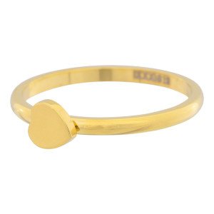 iXXXi Jewelry Symbool Hart goud 2mm