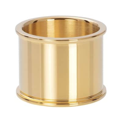 iXXXi base ring16 mm goud