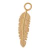 iXXXi Jewelry Charm Feather Goud