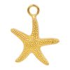 iXXXi Jewelry Charm Starfish Goud