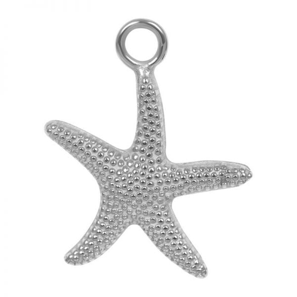 iXXXi Jewelry Charm Starfish Zilver