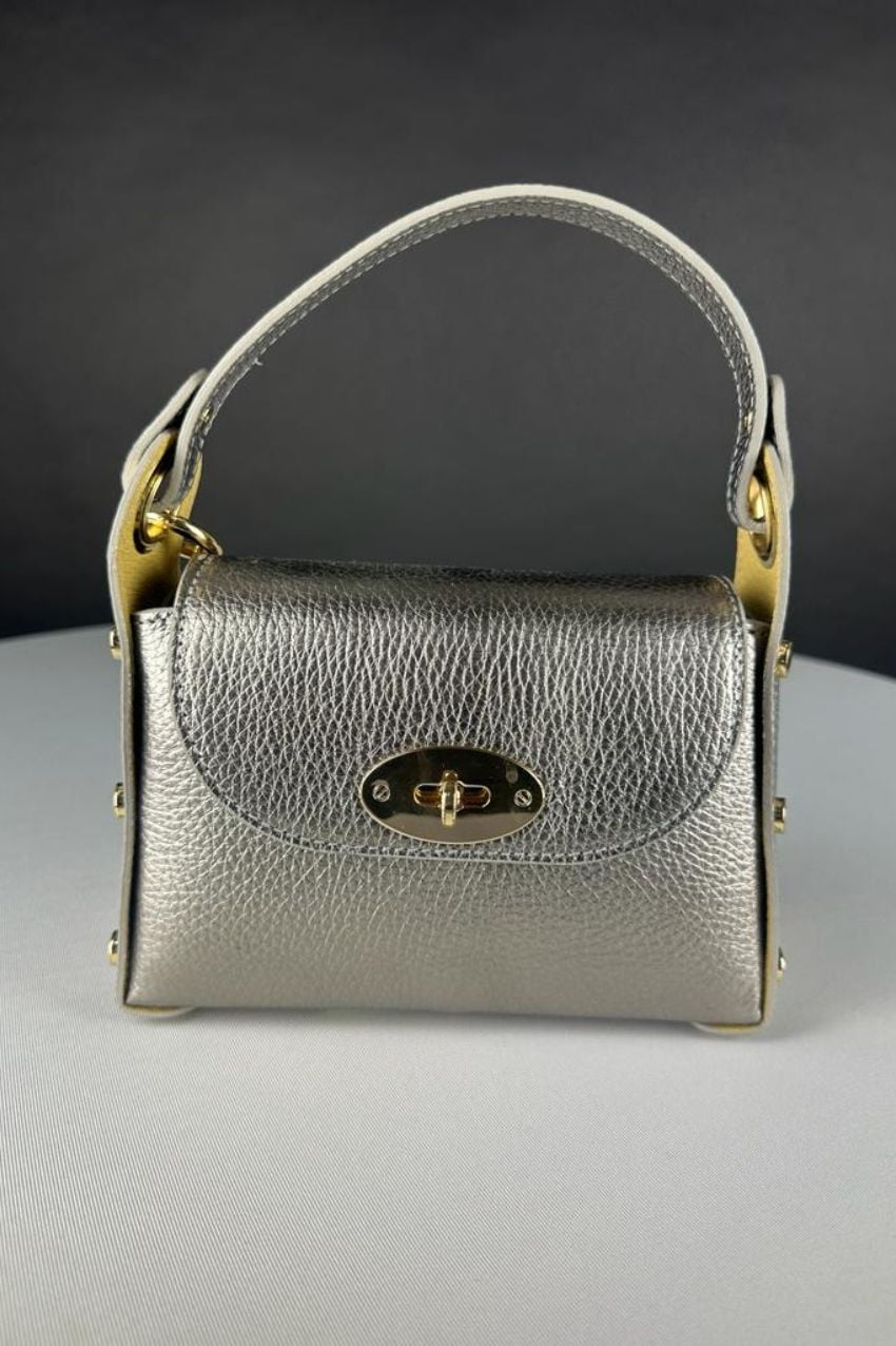 Silver With Gold Hardware Bag
